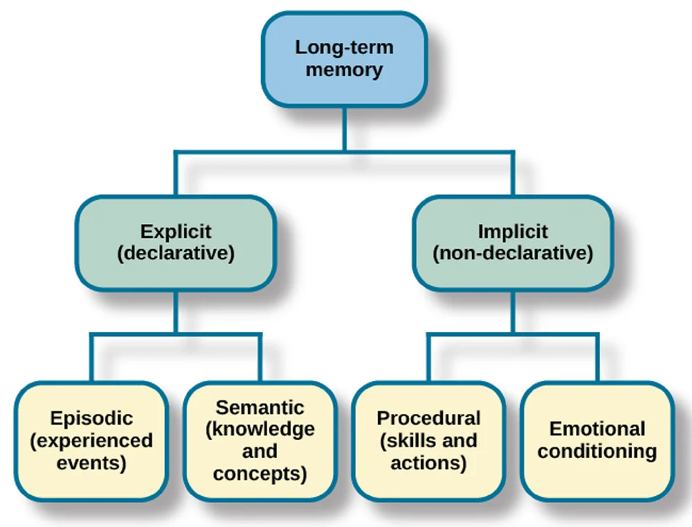Types of Long-term Memory